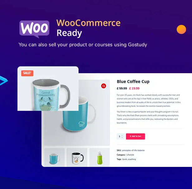 Gostudy - Education WordPress Theme 9