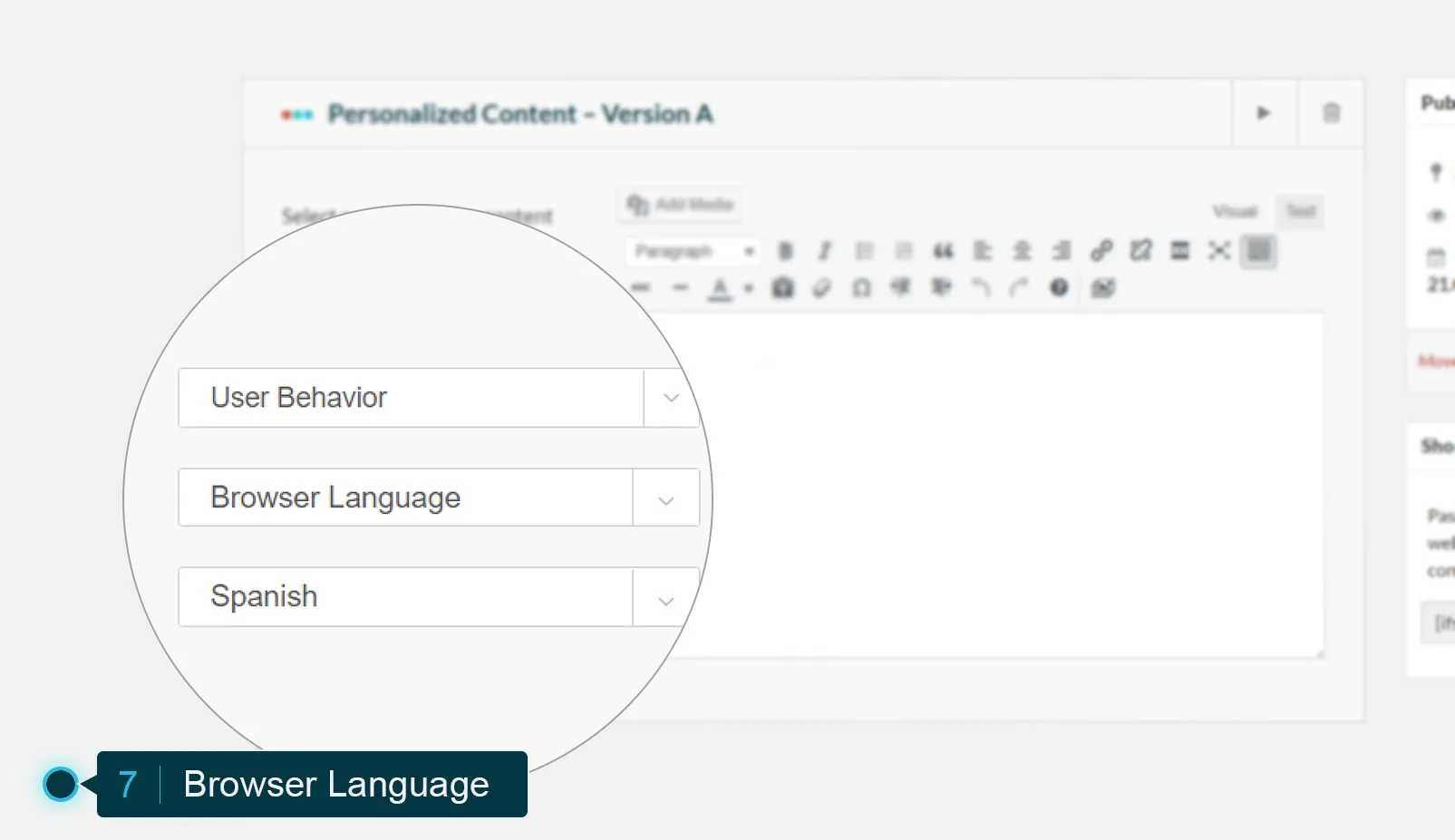 If-So Dynamic Content Pro 8