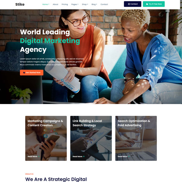 Stike - IT Business Startup Company WordPress Theme 2