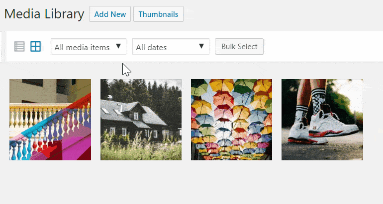 WordPress Real Thumbnail Generator Efficiently force regenerate thumbnails in bulk 2