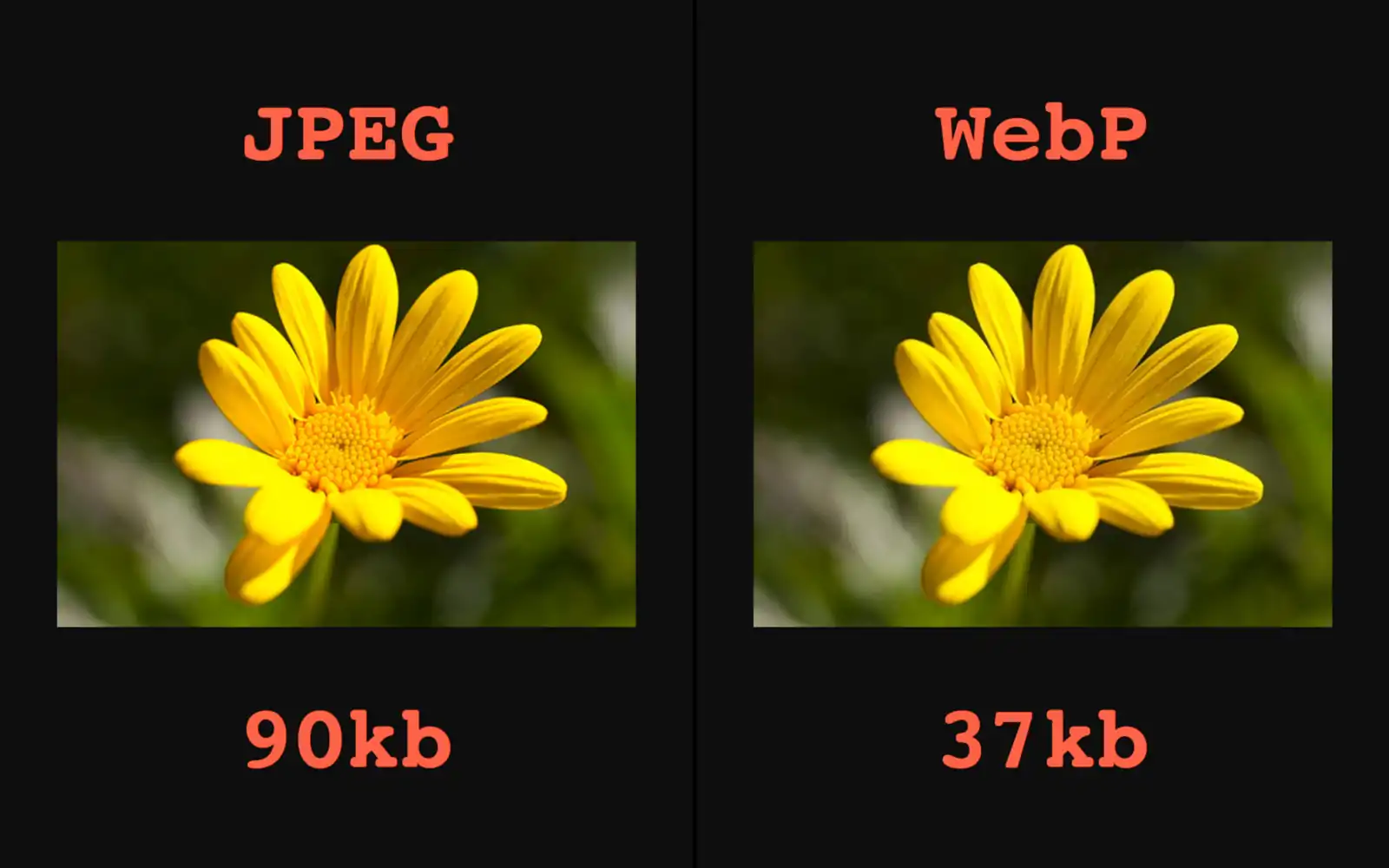 Automatic WebP & Image Compression, Lazy Load for WordPress & WooCommerce 8