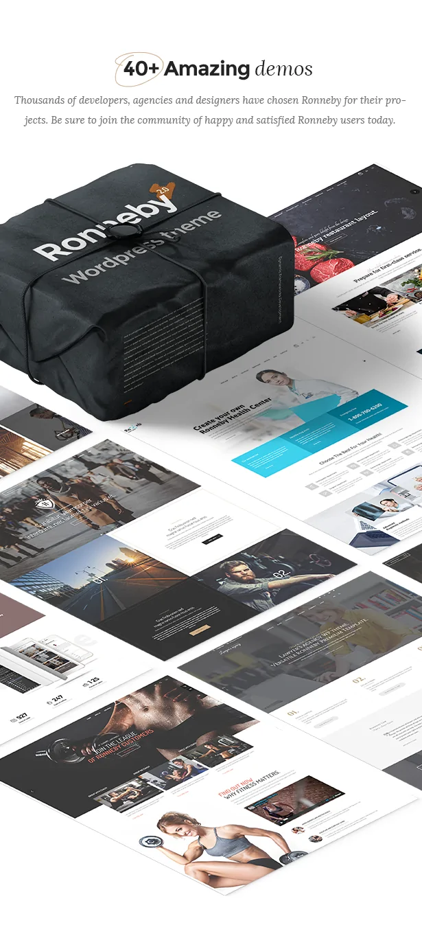 Ronneby - High-Performance WordPress Theme 2