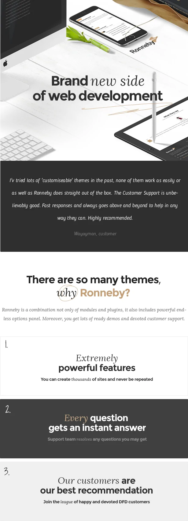 Ronneby - High-Performance WordPress Theme 3