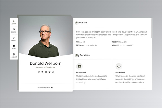 RyanCV - Resume WordPress Theme 4