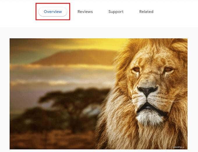 Cách thay đổi Google Chrome của bạn Theme 14 Cách thay đổi Google Chrome của bạn Theme