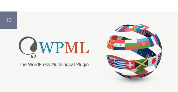 Chauffeur Booking System for WordPress 30