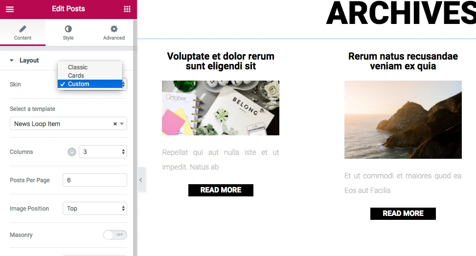 Elementor Custom Skin Pro 2