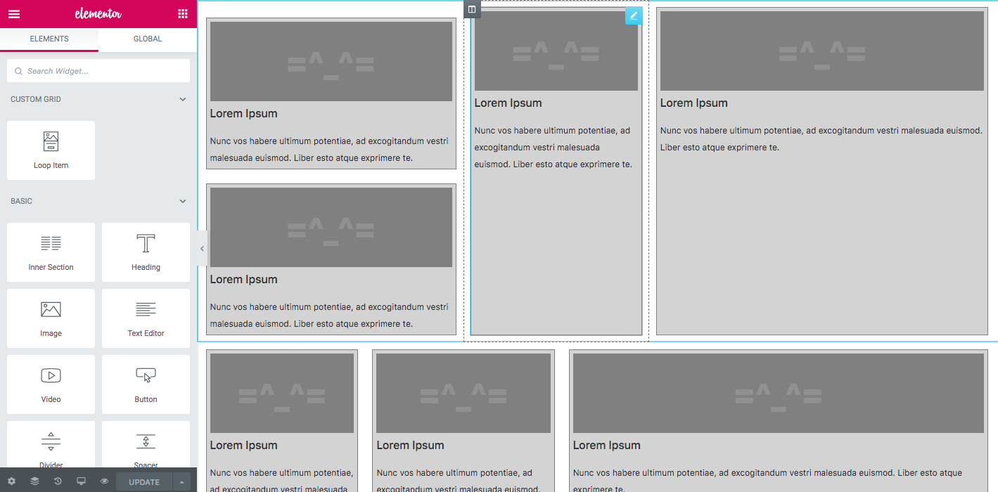 Elementor Custom Skin Pro 3