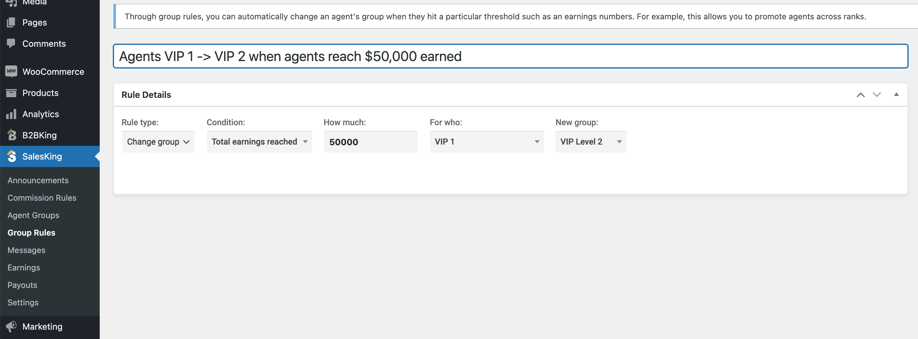 SalesKing - Ultimate Sales Team, Agents & Reps Plugin for WooCommerce 10