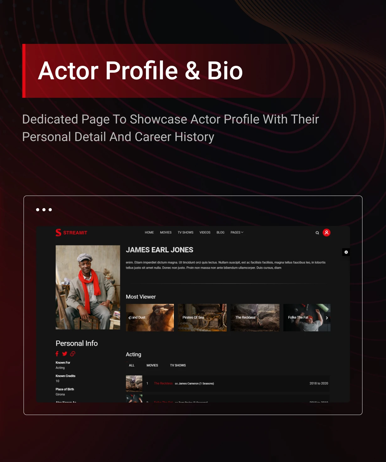 Streamit Video Streaming WordPress Theme + RTL 9