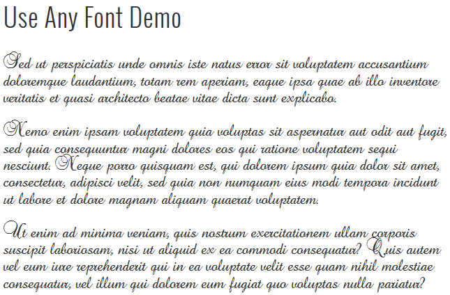 Use Any Font Premium Custom Font Uploader 1