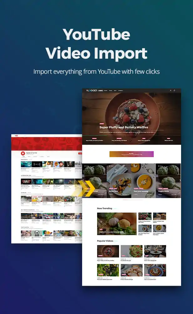 Vlogger Professional Video & Tutorials WordPress Theme 8
