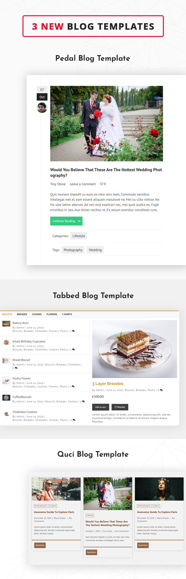 Blog Designer PRO for WordPress 3