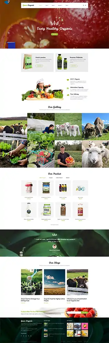 Greenorganic - WooCommerce WordPress Theme 2