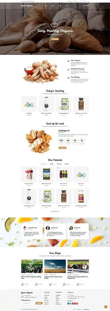 Greenorganic - WooCommerce WordPress Theme 3