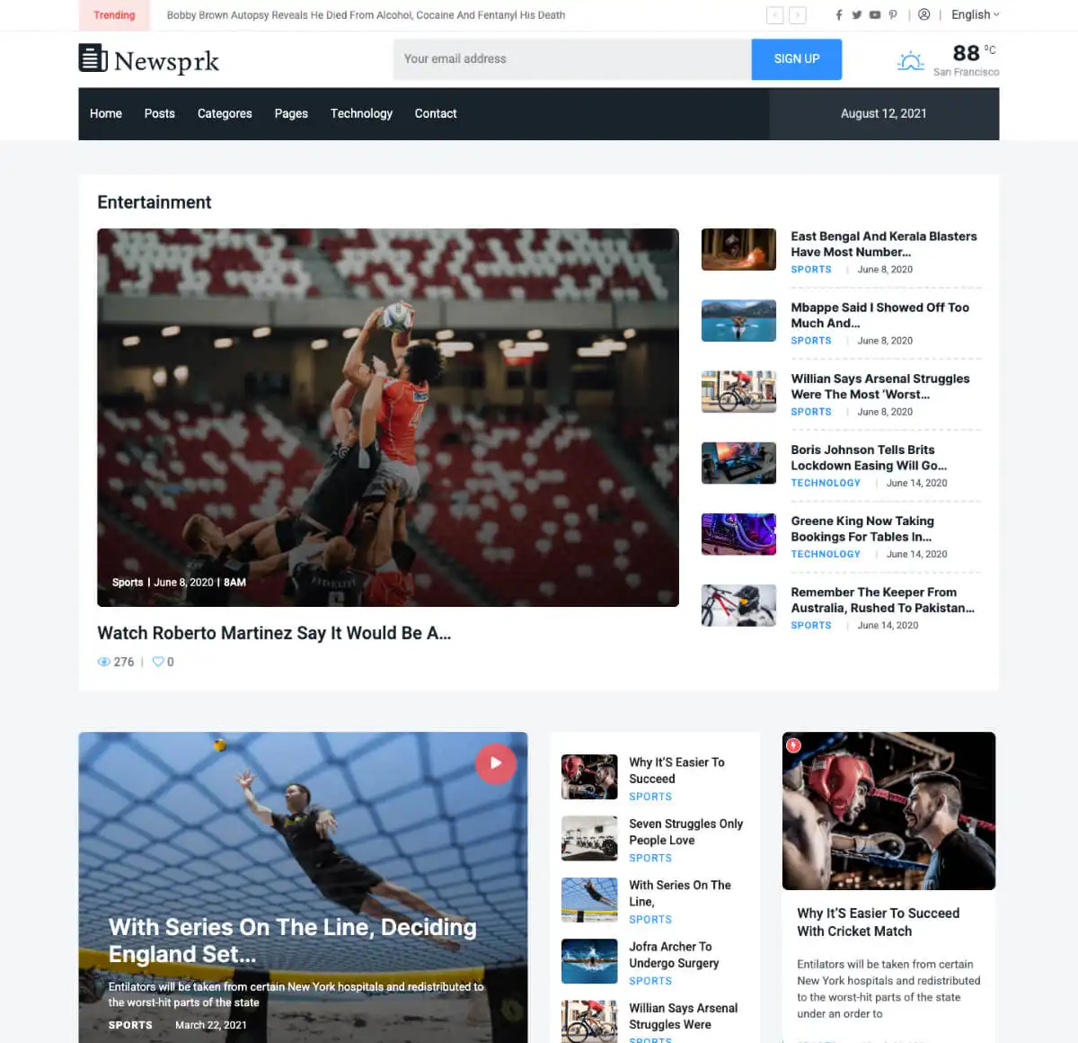 Newsprk - Newspaper WordPress Theme 8