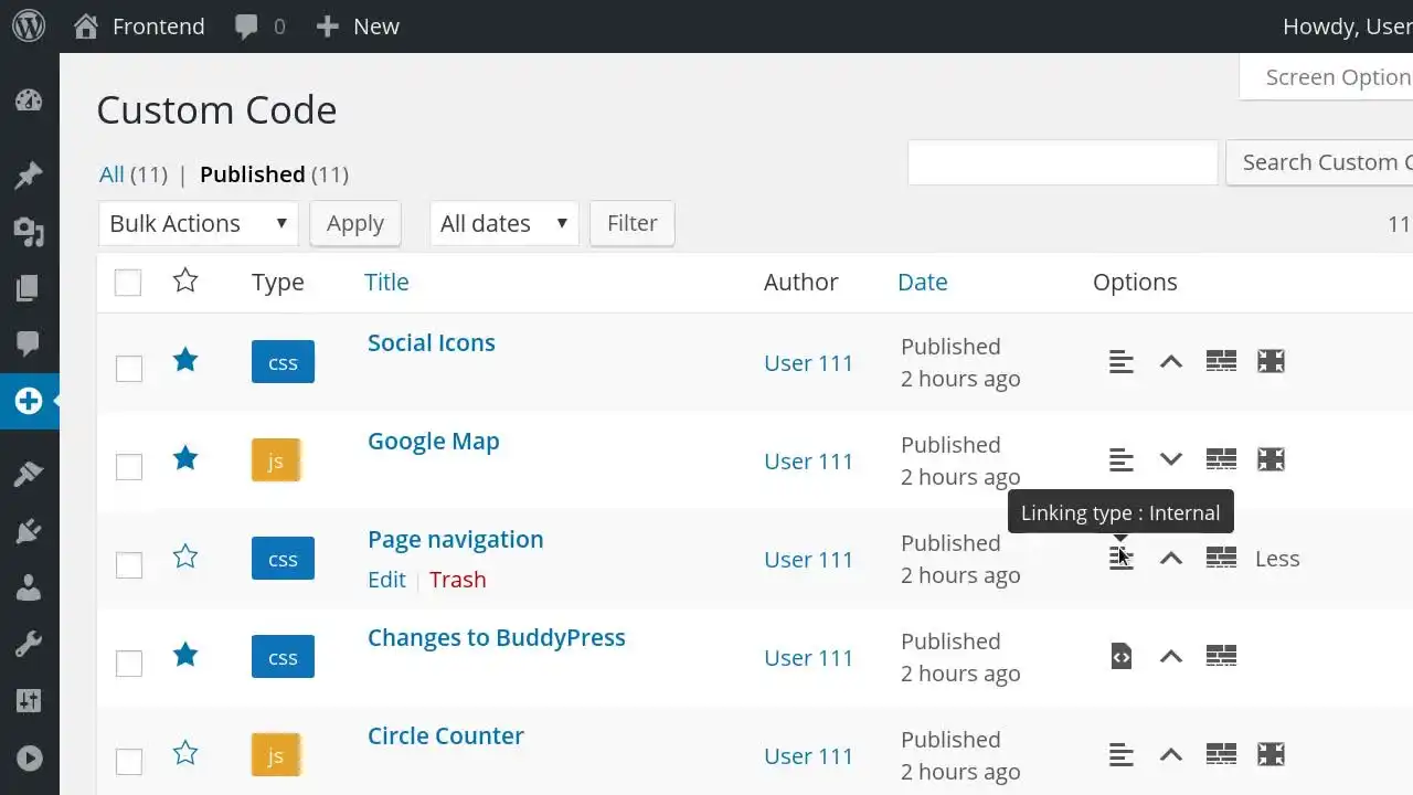 Simple Custom CSS and JS PRO 1