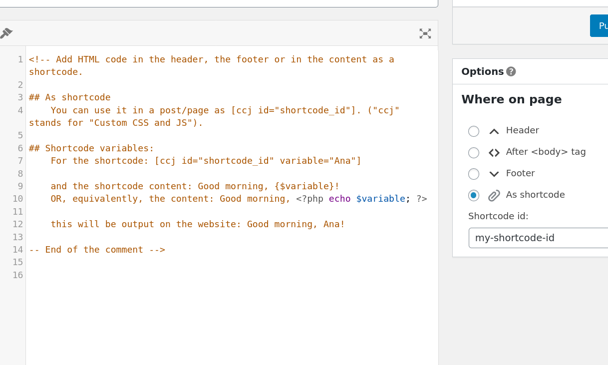 Simple Custom CSS and JS PRO 4