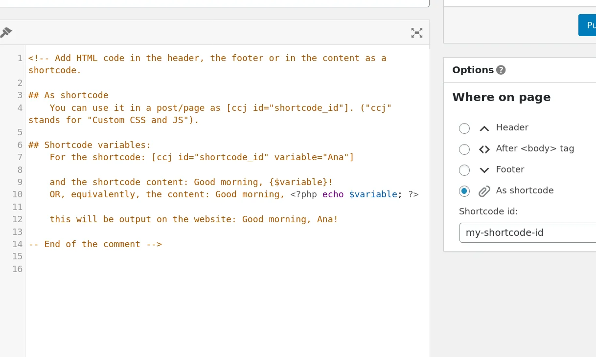 Simple Custom CSS and JS PRO 4