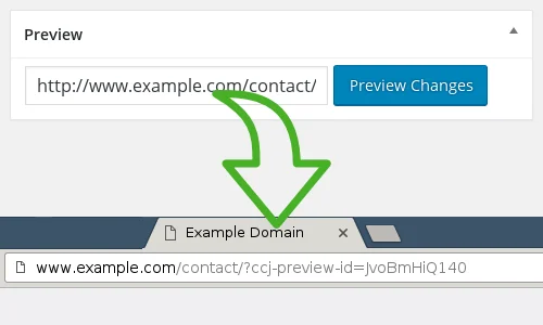 Simple Custom CSS and JS PRO 5