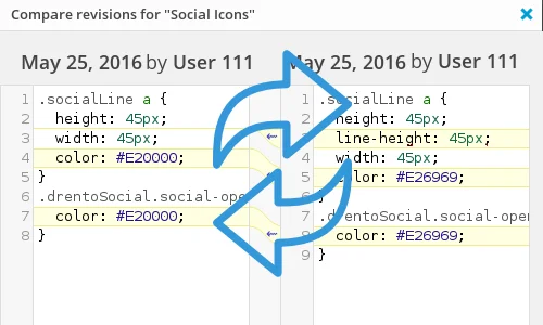 Simple Custom CSS and JS PRO 6