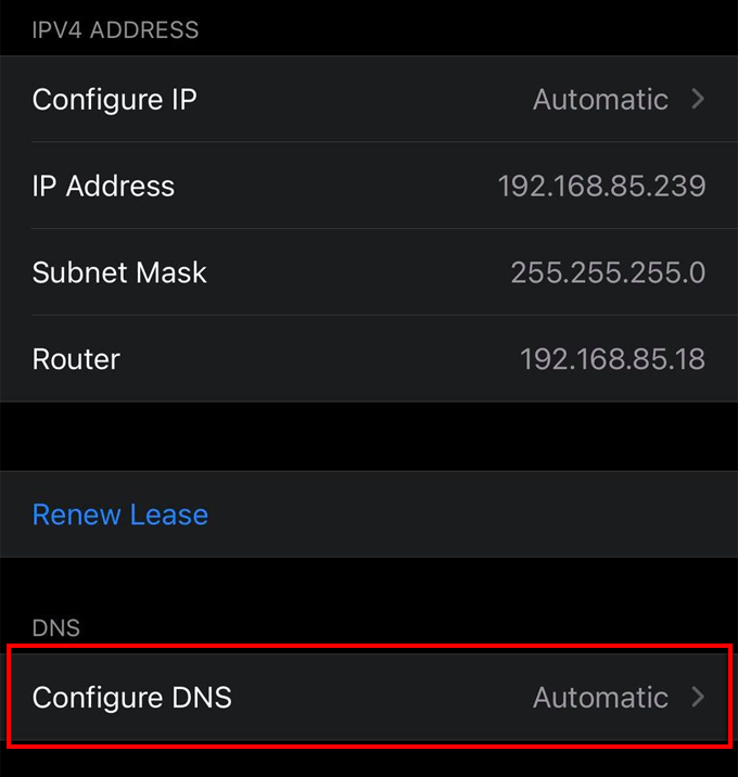 DNS riêng là gì và cách sử dụng nó 16 DNS riêng là gì và cách sử dụng nó