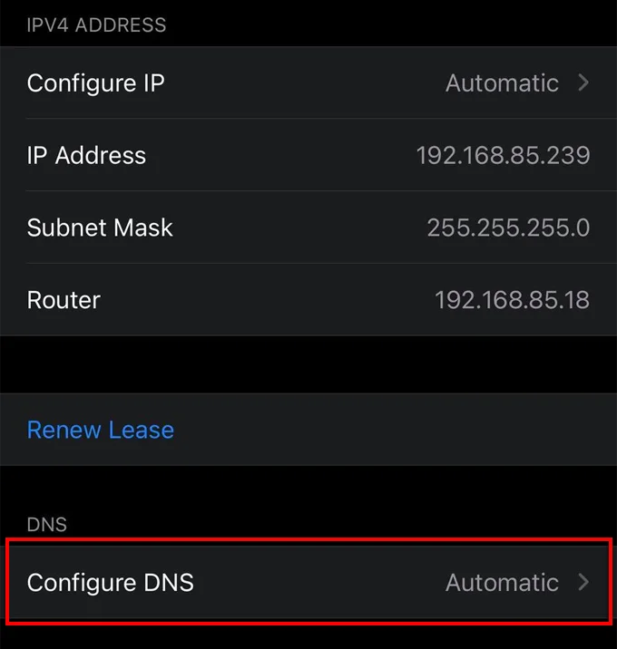 DNS riêng là gì và cách sử dụng nó 16 DNS riêng là gì và cách sử dụng nó
