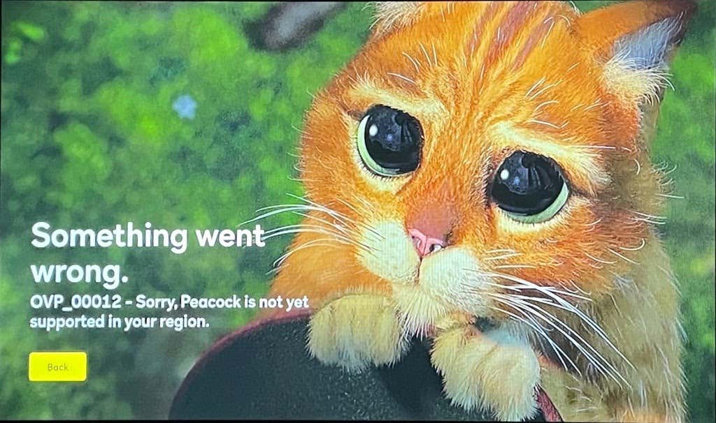 Cách tải xuống và cài đặt Peacock trên Firestick 7 Cách tải xuống và cài đặt Peacock trên Firestick