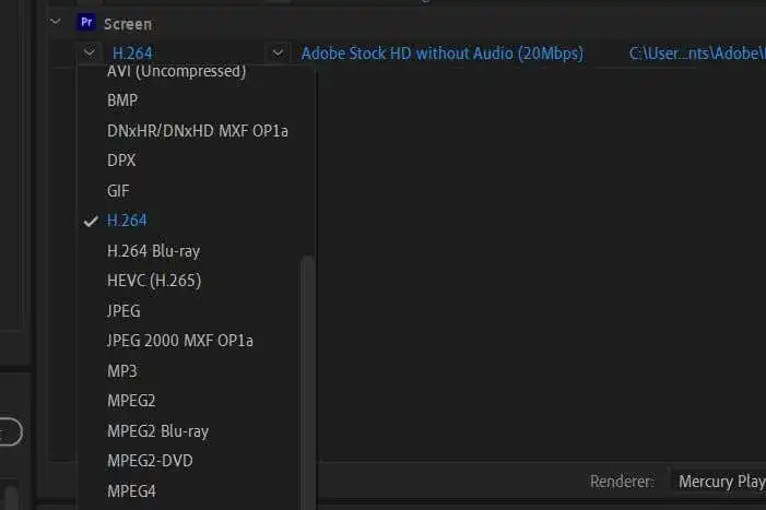 image-61 - Mẹo công nghệ trực tuyến Thay đổi đầu ra Settings trong hình ảnh Adobe Media Encoding