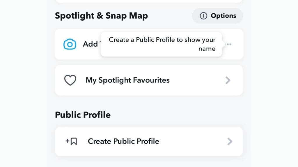 Hồ sơ công khai trên Snapchat là gì và cách tạo hồ sơ công khai? 5 Hồ sơ công khai trên Snapchat là gì và cách tạo hồ sơ công khai?