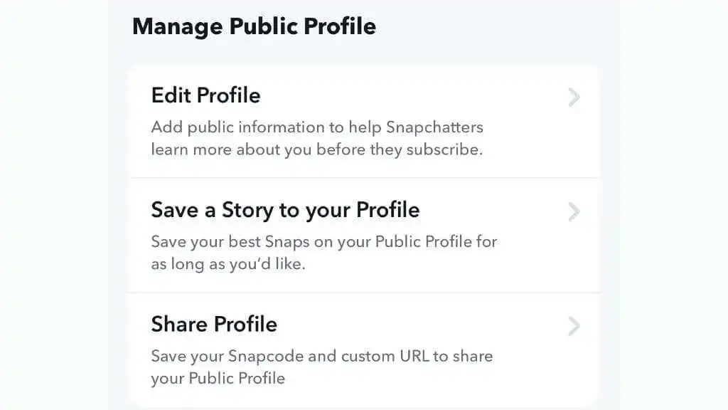 Hồ sơ công khai trên Snapchat là gì và cách tạo hồ sơ công khai? 13 Hồ sơ công khai trên Snapchat là gì và cách tạo hồ sơ công khai?