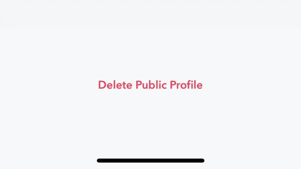 Hồ sơ công khai trên Snapchat là gì và cách tạo hồ sơ công khai? 15 Hồ sơ công khai trên Snapchat là gì và cách tạo hồ sơ công khai?