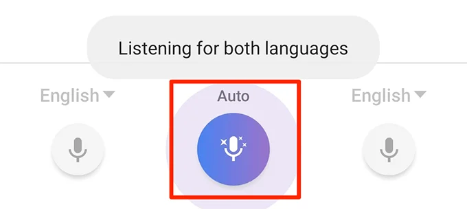 9 mẹo hữu ích Cách sử dụng Google Dịch 6 9 mẹo hữu ích Cách sử dụng Google Dịch