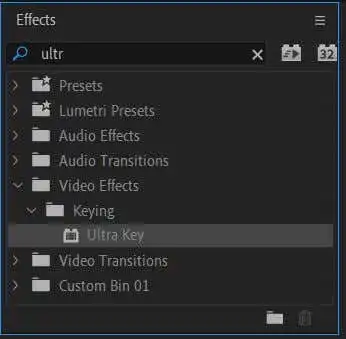 image-11 - Mẹo công nghệ trực tuyến Cách Chroma Key Trong ảnh Premiere Pro Video Editor