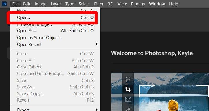 Làm thế nào để chuyển nghệ thuật trong Procreate sang Photoshop với các lớp 5 Làm thế nào để chuyển nghệ thuật trong Procreate sang Photoshop với các lớp