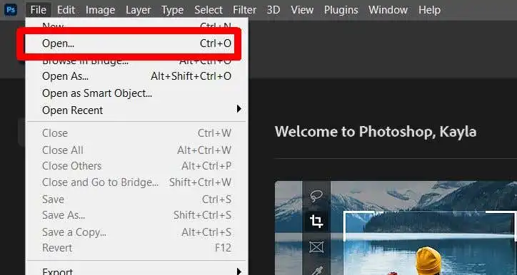 Làm thế nào để chuyển nghệ thuật trong Procreate sang Photoshop với các lớp 5 Làm thế nào để chuyển nghệ thuật trong Procreate sang Photoshop với các lớp