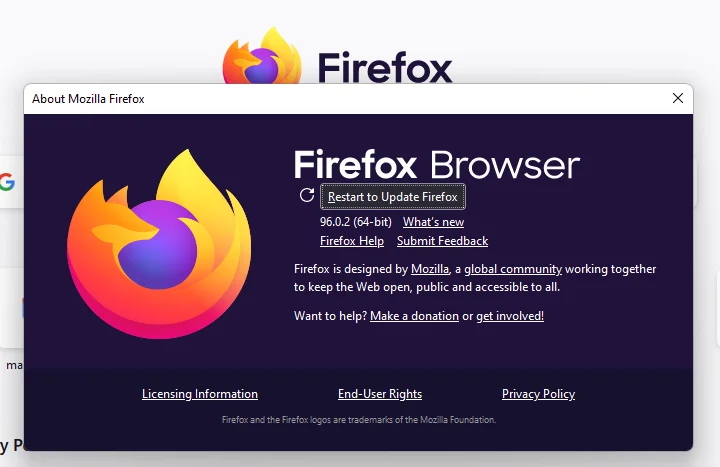 Cách cập nhật trình duyệt web của bạn trên PC 6 Cách cập nhật trình duyệt web của bạn trên PC