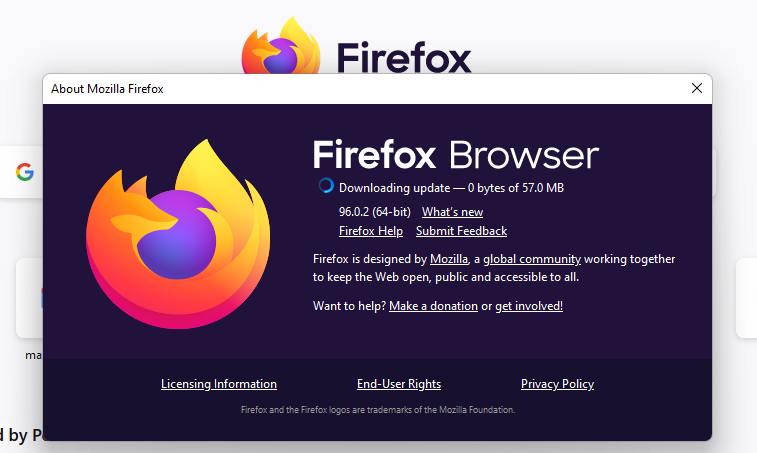 Cách cập nhật trình duyệt web của bạn trên PC 5 Cách cập nhật trình duyệt web của bạn trên PC