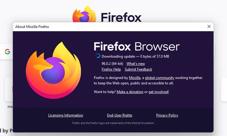 Cách cập nhật trình duyệt web của bạn trên PC 5 Cách cập nhật trình duyệt web của bạn trên PC