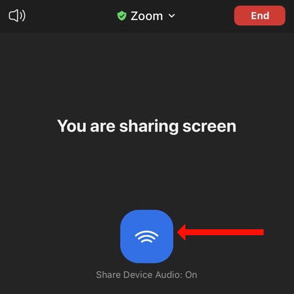 zoom-share-audio-iphone - Mẹo kỹ thuật trực tuyến Cách chia sẻ âm thanh trên Zoom cho hình ảnh iPhone, iPad