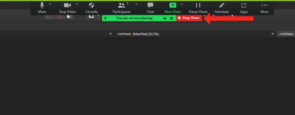 zoom-share-audio-stop - Mẹo kỹ thuật trực tuyến Cách dừng chia sẻ âm thanh máy tính khi phóng to ảnh