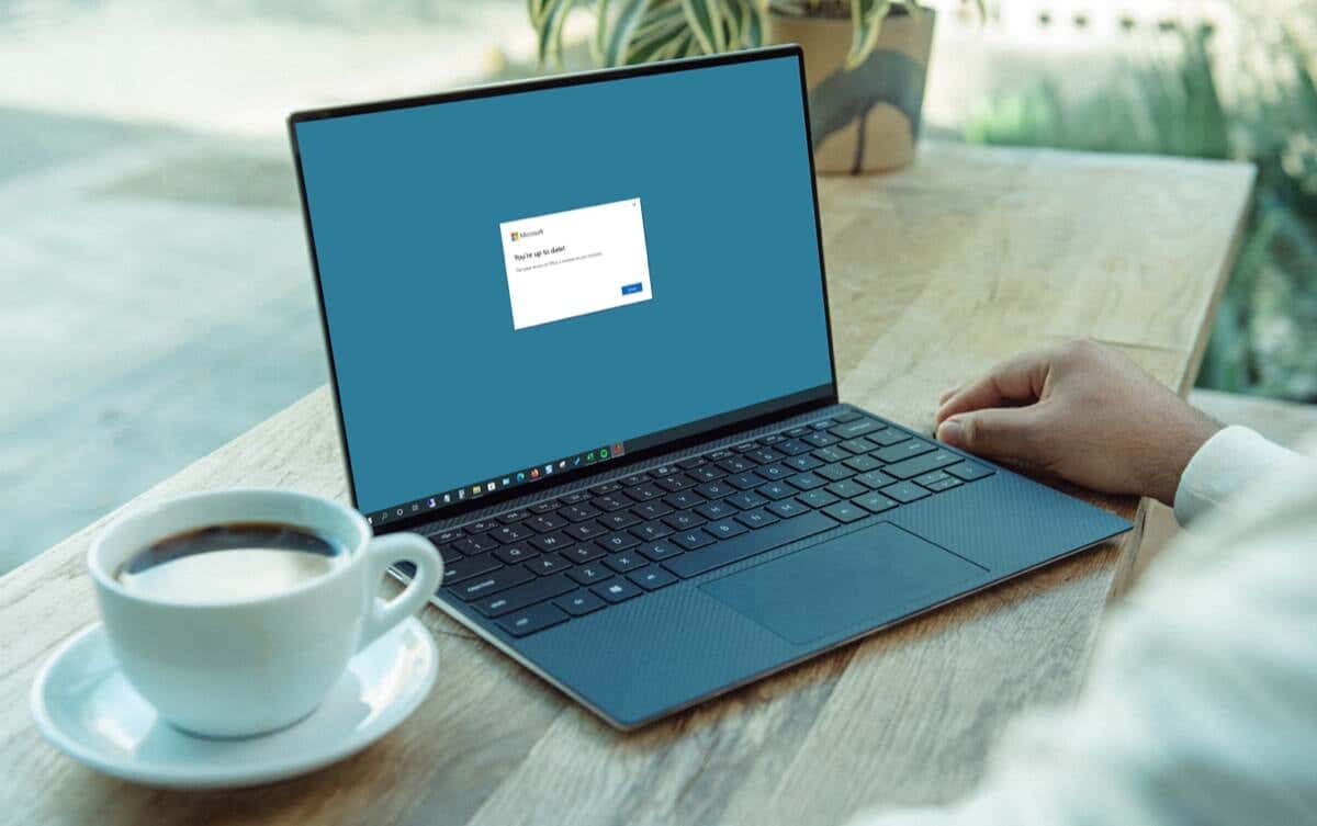 Cách cập nhật ứng dụng Microsoft Office (Windows và Mac)