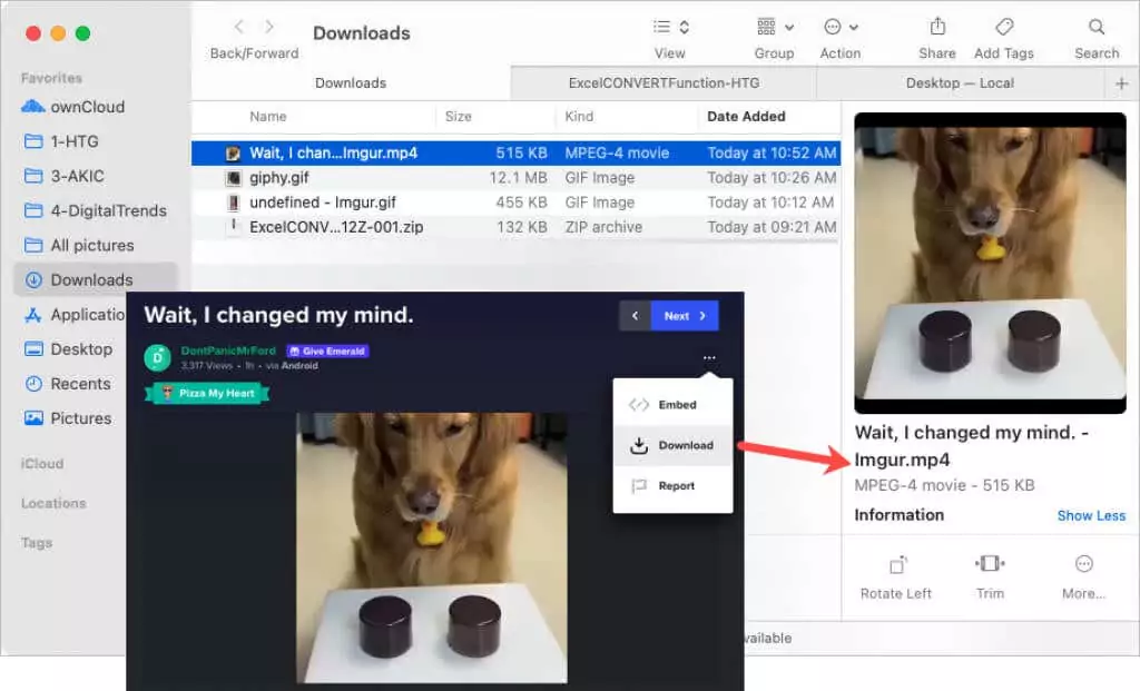 cách lưu-hoạt hình-gifs vào thiết bị di động và máy tính-3-nén-1 - Mẹo kỹ thuật trực tuyến Tìm tùy chọn tải xuống hình ảnh 3