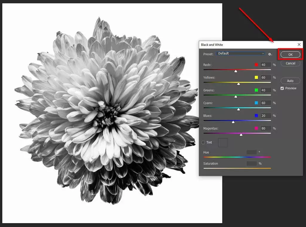 ott-how-to-make-an-image-đen-trắng-trong-photoshop-6-nén - Mẹo Kỹ thuật Trực tuyến Cách tạo một bức ảnh đen trắng 6