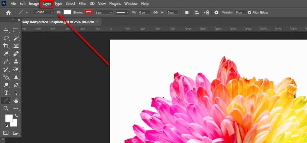 ott-how-to-make-an-image-đen-trắng-trong-photoshop-11-nén - Mẹo Kỹ Thuật Trực Tuyến Cách tạo ảnh đen trắng 11