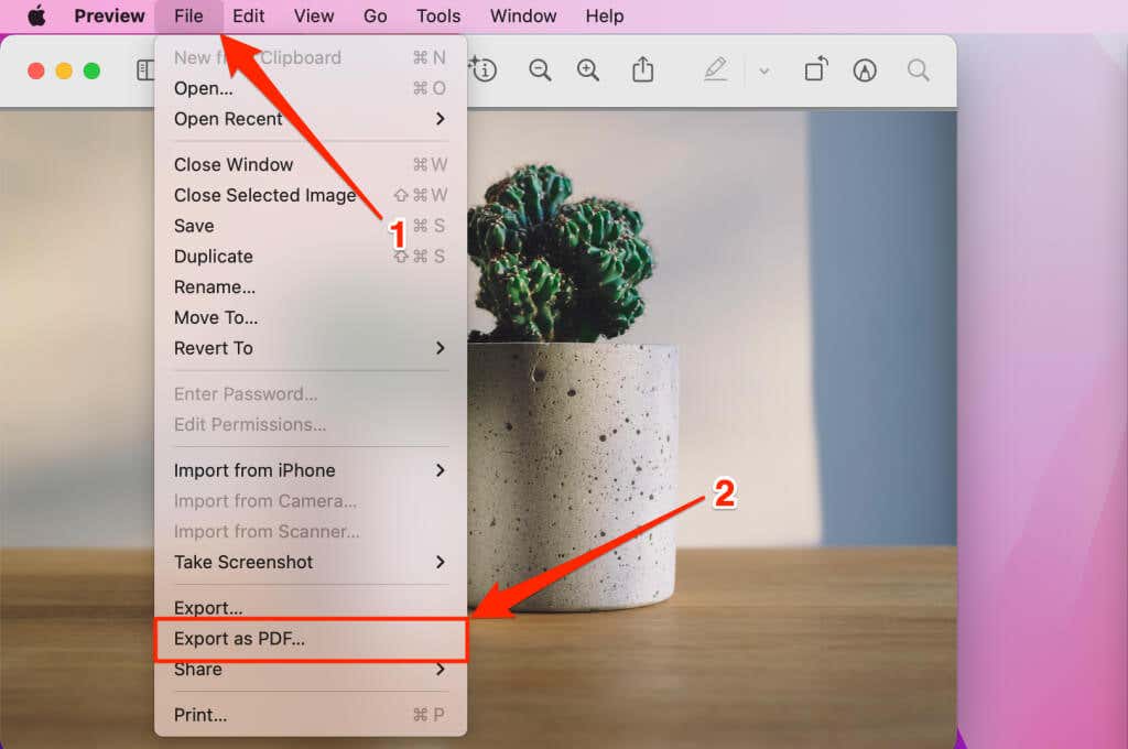 cách chuyển đổi hoặc lưu ảnh dưới dạng pdf-file-3 được nén - Mẹo kỹ thuật trực tuyến cách chọn xuất dưới dạng pdf trên ảnh mac