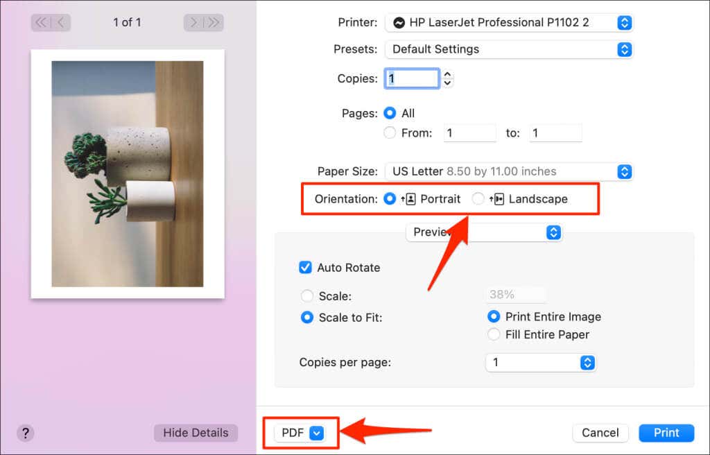 cách chuyển đổi hoặc lưu ảnh dưới dạng pdf-file-11 được nén - Mẹo kỹ thuật trực tuyến chọn hướng dọc hoặc hướng ngang