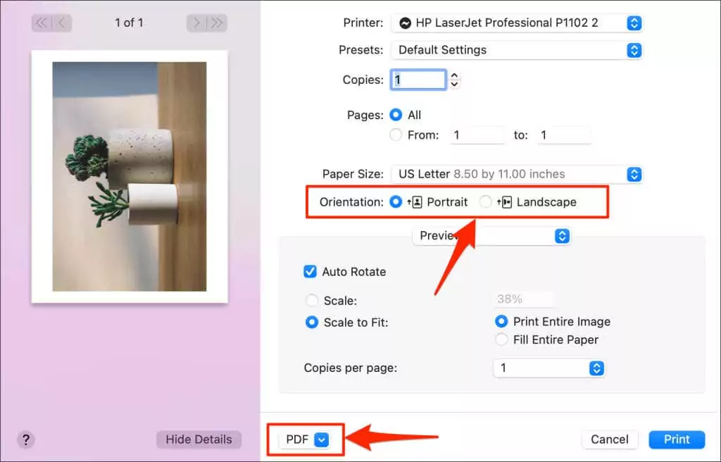 cách chuyển đổi hoặc lưu ảnh dưới dạng pdf-file-11 được nén - Mẹo kỹ thuật trực tuyến chọn hướng dọc hoặc hướng ngang
