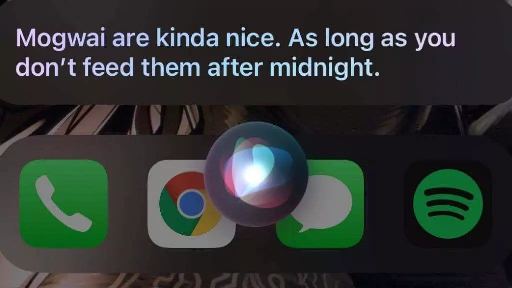 9-Thú Cưng - Mẹo Công Nghệ Trực Tuyến Siri, Bạn có thú cưng không? hình ảnh