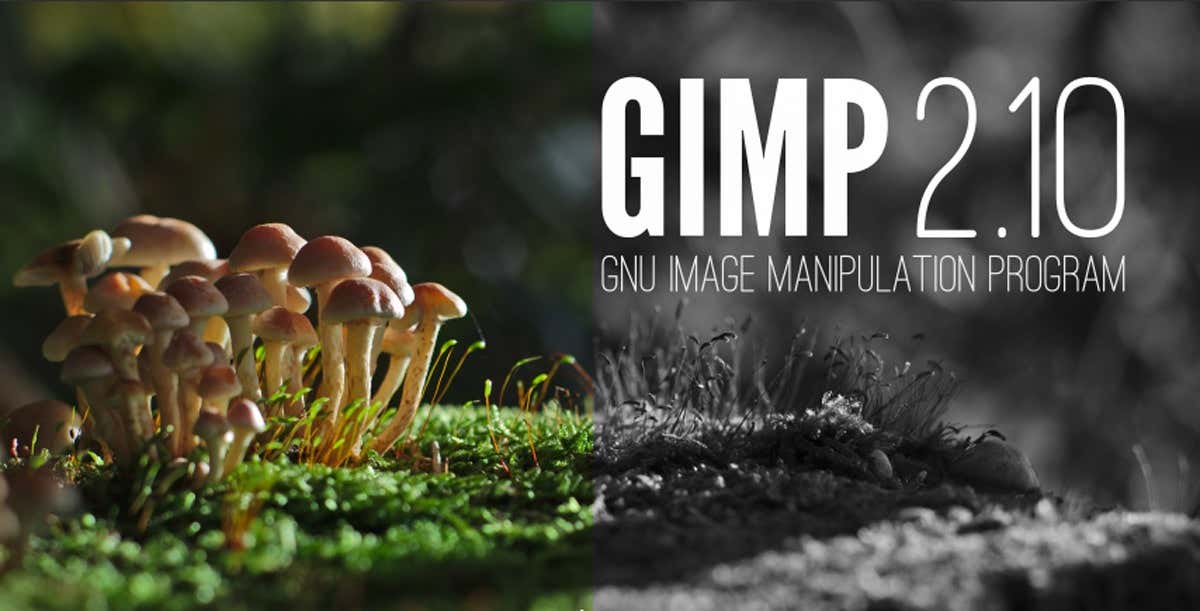 00Gimp - Mẹo công nghệ trực tuyến Cách tạo hình ảnh đen trắng trong ảnh GIMP